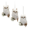 Melrose Feathered Owl Ornament (Set of 6(