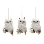 Feathered Owl Ornament (Set of 6(