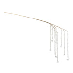 Hanging Prism Branch 