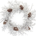 Shimmering Iced Branch Christmas Door Wreath