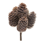 Melrose Pine Cone Bundle (Set of 12)