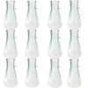 Borosilicate Filtering Flask 250 ml Capacity Pack of 12