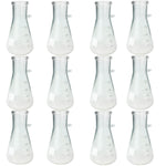 Filtering Flask 250 ml Capacity with Graduations and Marking Spot Borosilicate Glass Pack of 12 By GSC International Inc.