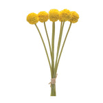 Set of 6 Pod Bundles – 13.25"H Faux Stems Green & Yellow – Indoor Decorative Accent – By Melrose