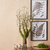 Moss Foliage Vine Branch 40 Inch Set of 2
