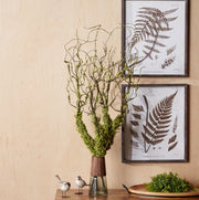 Moss Foliage Vine Branch 40 Inch Set of 2

