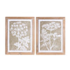 Melrose Framed Queen Anne's Lace and Fern Wall Art (Set of 2)