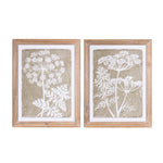 Melrose Framed Queen Anne's Lace and Fern Wall Art (Set of 2)