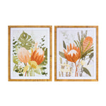 Melrose Framed Protea Floral Wall Art (Set of 2)