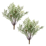 Green Brown Fern Bush