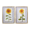Melrose Framed Sunflower Print (Set of 2)
