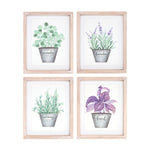 Melrose Framed Watercolor Herb Print (Set of 4)