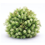 Faux Foliage Half Orb Set of 2 Green Plastic Decorative Accent – 8in by Melrose