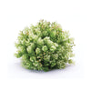 Plastic Faux Foliage Half Orb Set – Green Decorative Home Accent