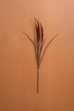 A dried decorative grass stem with long slender dark brown blades and a feathery burgundy-red top, centered on a warm tan background.