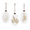 Melrose Natural Dried Floral Glass Ornament (Set of 12)