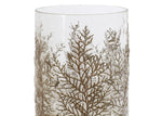 dried cedar glass candle holder
