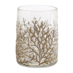 Melrose Dried Cedar Glass Candle Holder (Set of 3)