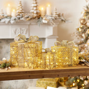Christmas LED Package with Lights – 11