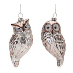 Melrose Silver Glass Owl Ornament (Set of 12)