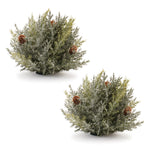 Christmas Pine Half Orb Icy Pinecone Plastic Decor – 7" Set of 2 by Melrose