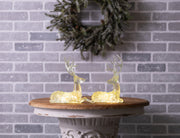 LED Lighted Sage Green Deer (Set of 2)