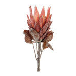 Melrose Red Protea Flower Stem (Set of 2)