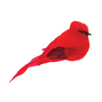 Melrose Feathered Cardinal Bird Shelf Sitter (Set of 12)