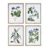 Melrose Wood Framed Floral Print (Set of 4)