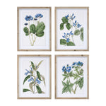 Melrose Wood Framed Floral Print (Set of 4)