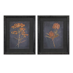 Melrose Wood Framed Botanical Print (Set of 2)