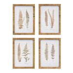 Melrose Wood Framed Fern Print (Set of 4)