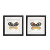 Melrose Framed Butterfly Block (Set of 2)