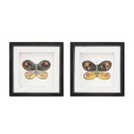 Melrose Framed Butterfly Block (Set of 2)