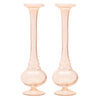 Glass Bud Vase Set