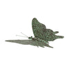 Butterfly Decorative Iron Garden Accent Green Black 1.5 Inch Height By Melrose
