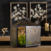 Lantern – 12