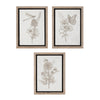 Melrose Framed Floral Insect Print (Set of 3)