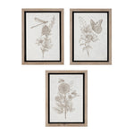 Melrose Framed Floral Insect Print (Set of 3)