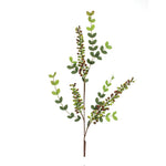 Berry Spray – Red & Green Faux Foliage – 32 Inch Decorative Stems for Vases (Set of 6) – By Melrose