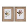 Melrose Wood Framed Protea Floral Print (Set of 2)