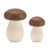 Melrose Wood Mushroom Box Decor (Set of 2)