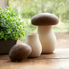wood mushroom box decor
