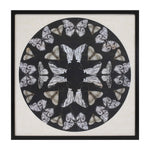 Melrose Framed Butterfly Print 25"SQ