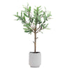 Potted Olive Leaf Topiary 21.5"H – Faux Plant in Ceramic Pot