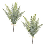 Fern Bundle Décor