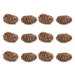 Christmas Pine Cone Decor – Woodland Resin Accents Set of 12 by Melrose