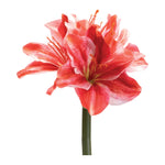 Christmas Amaryllis Floral Stems Realistic Polyester Design – 17.5 " by Melrose