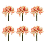 Christmas Amaryllis Flower Stems Polyester Floral Design 17" H Set of 6 by Melrose