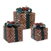 LED Woven Holiday Package Set